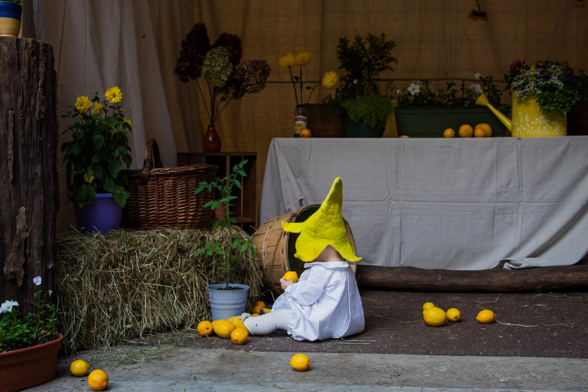 Baby in a handmade yellow Lemon Baby hat sitting among lemons, hay bales, potted plants, and garden decor at a lemon garden first birthday party.