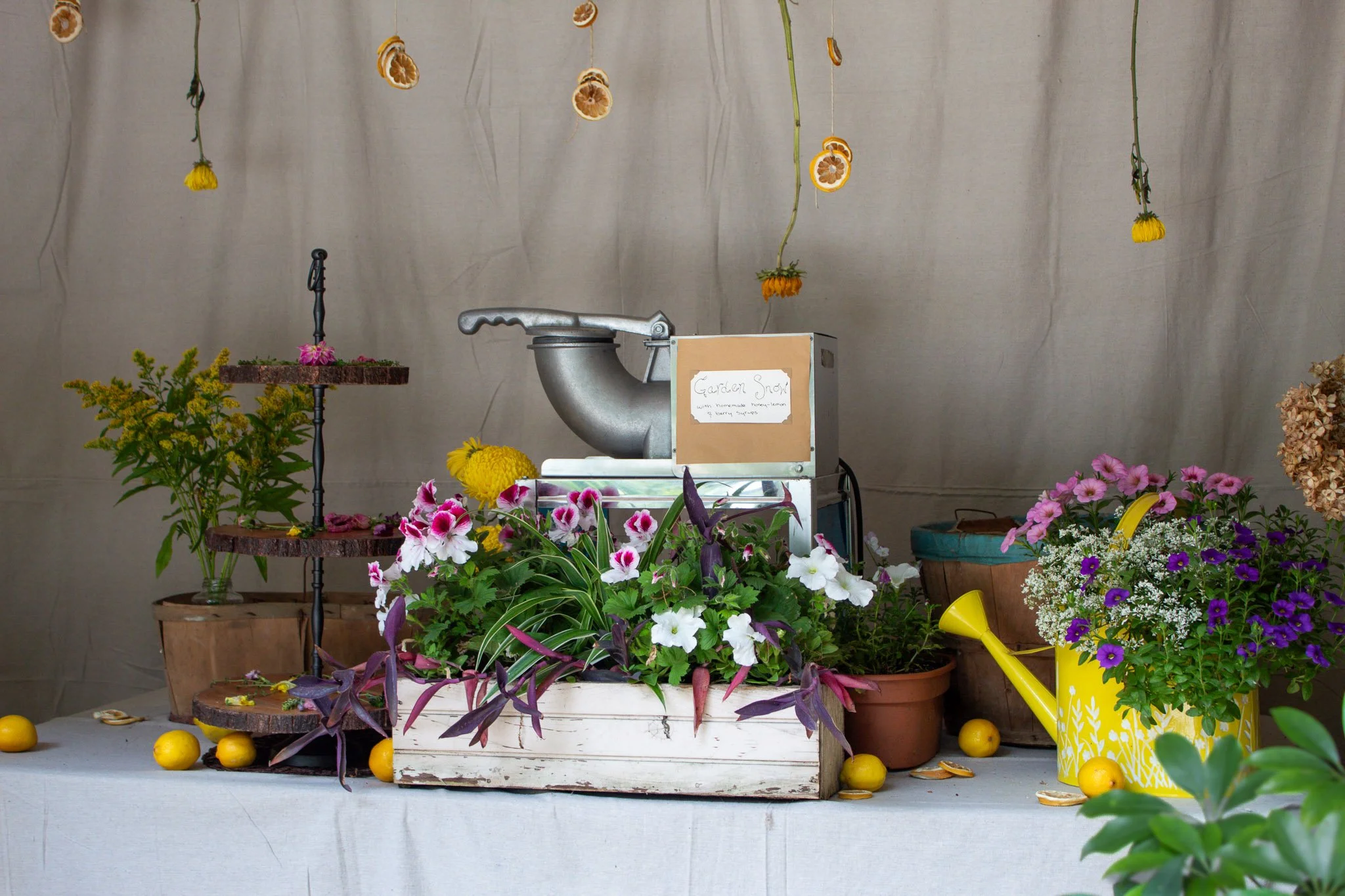 Garden snow cone station decorated with fresh flowers, dried lemons, potted plants, and a yellow watering can at a lemon garden birthday party.