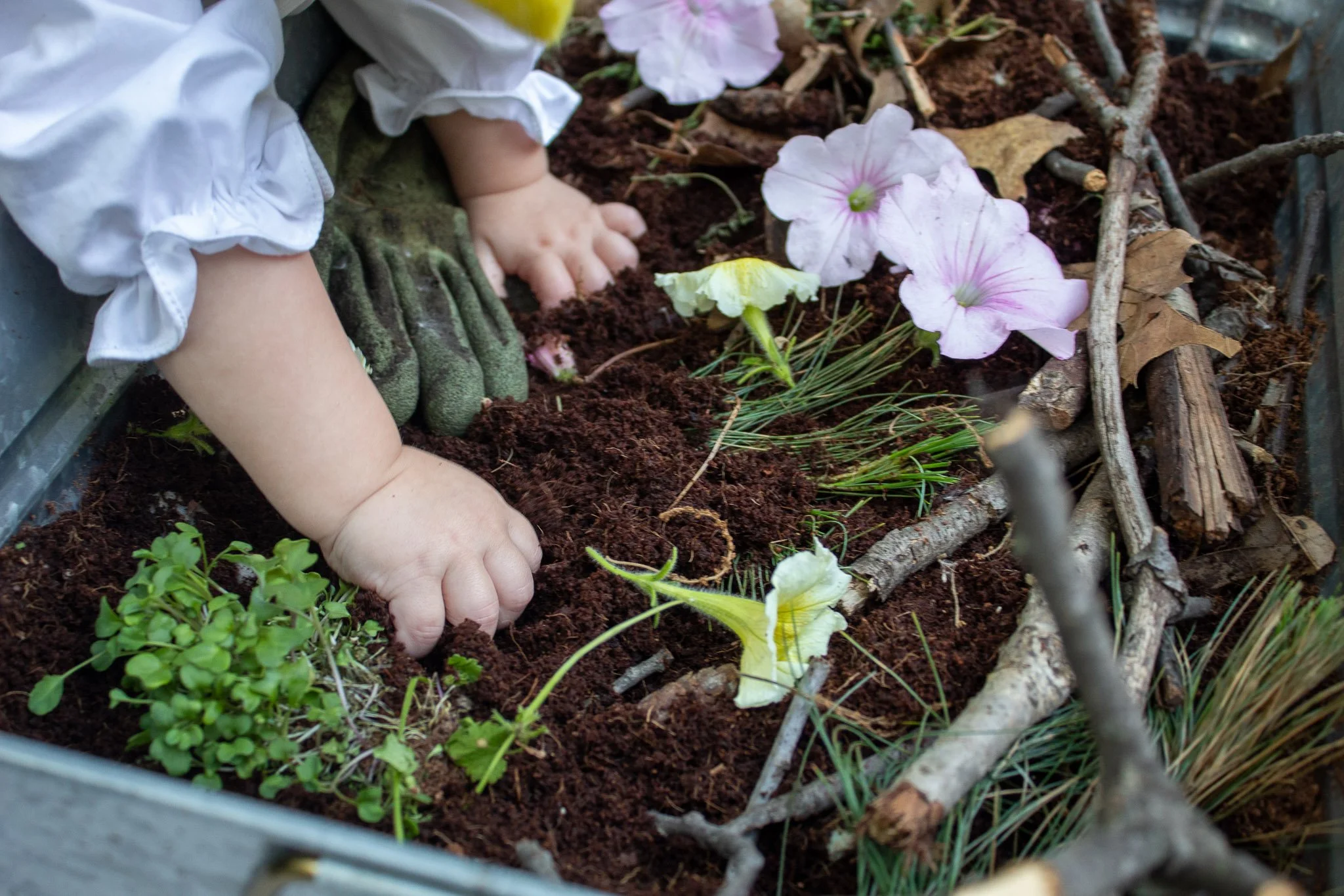 Baby’s hands exploring coco coir, flowers, pine needles, and sticks in a sensory garden tub during a lemon garden first birthday party.