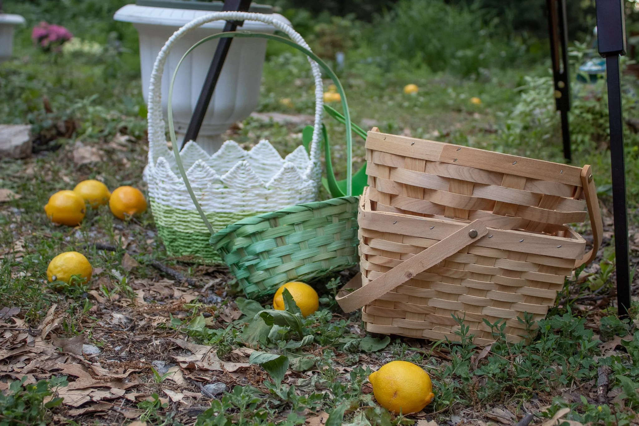 Wooden, green, and white gathering baskets arranged among scattered lemons for a children’s lemon harvest activity.