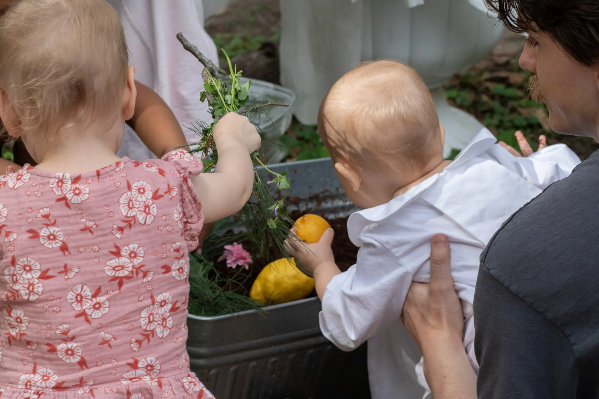 Baby and toddler exploring a sensory garden tub with lemons, flowers, branches, and natural materials during a garden first birthday party.