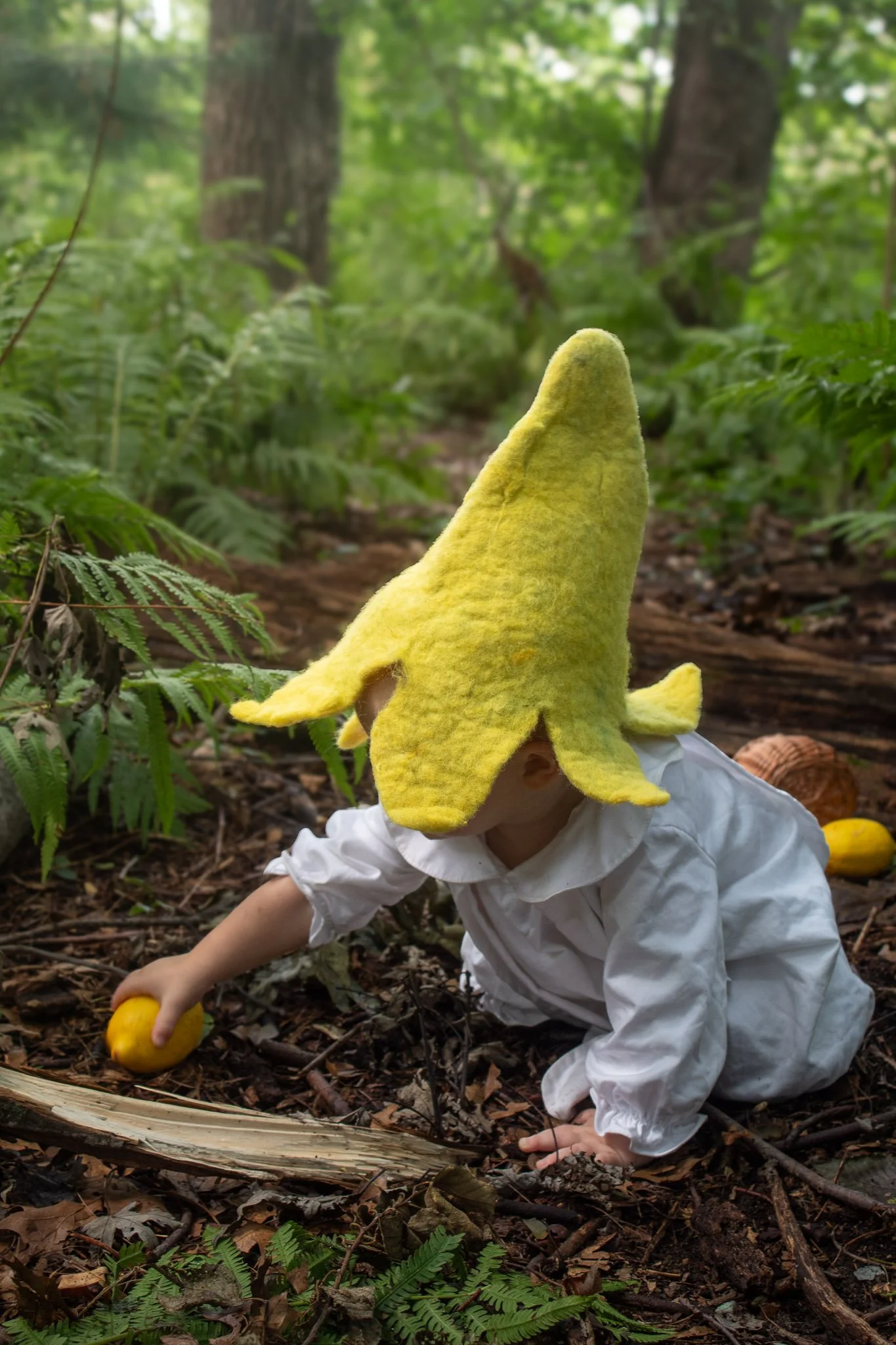 Toddler dressed as Lemon Baby reaches for a fallen lemon among ferns in a woodland garden.