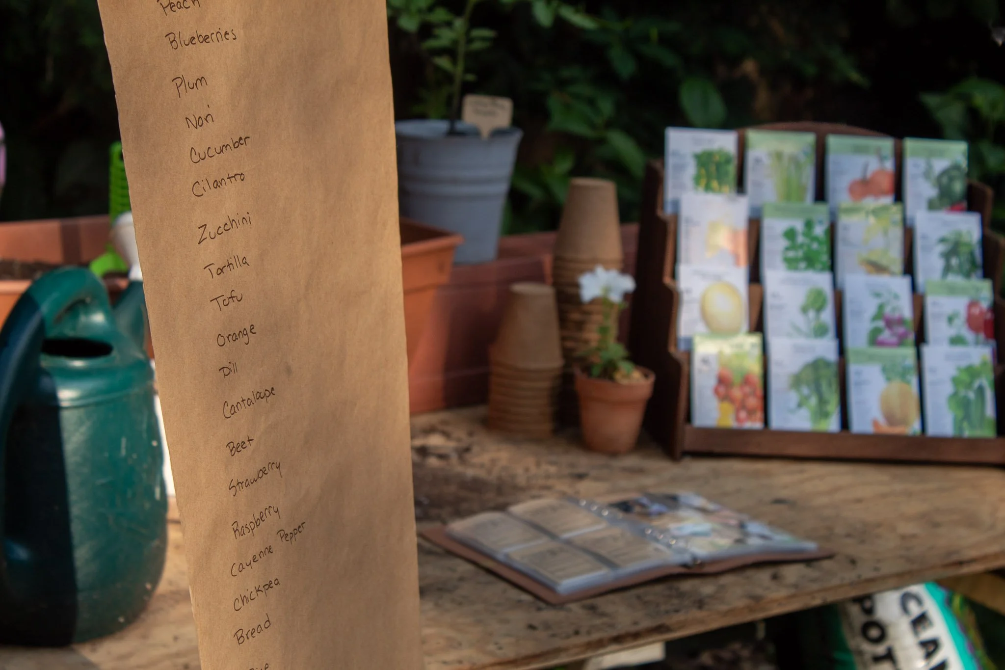 Kraft-paper list of baby's first foods beside seed packets, pots, and a watering can at a children’s garden activity station.