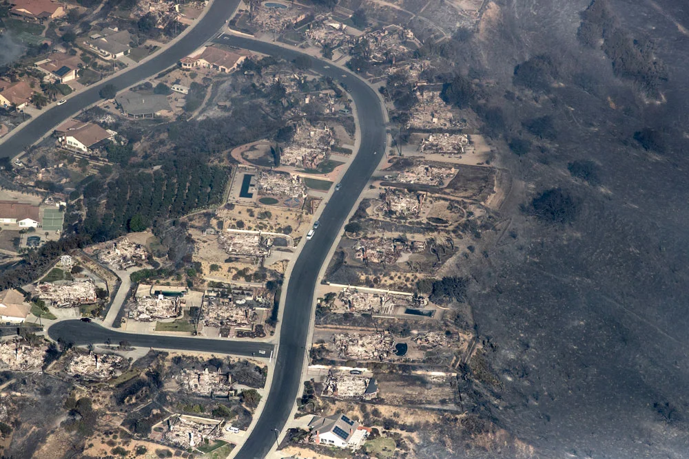 My neighborhood after fire.