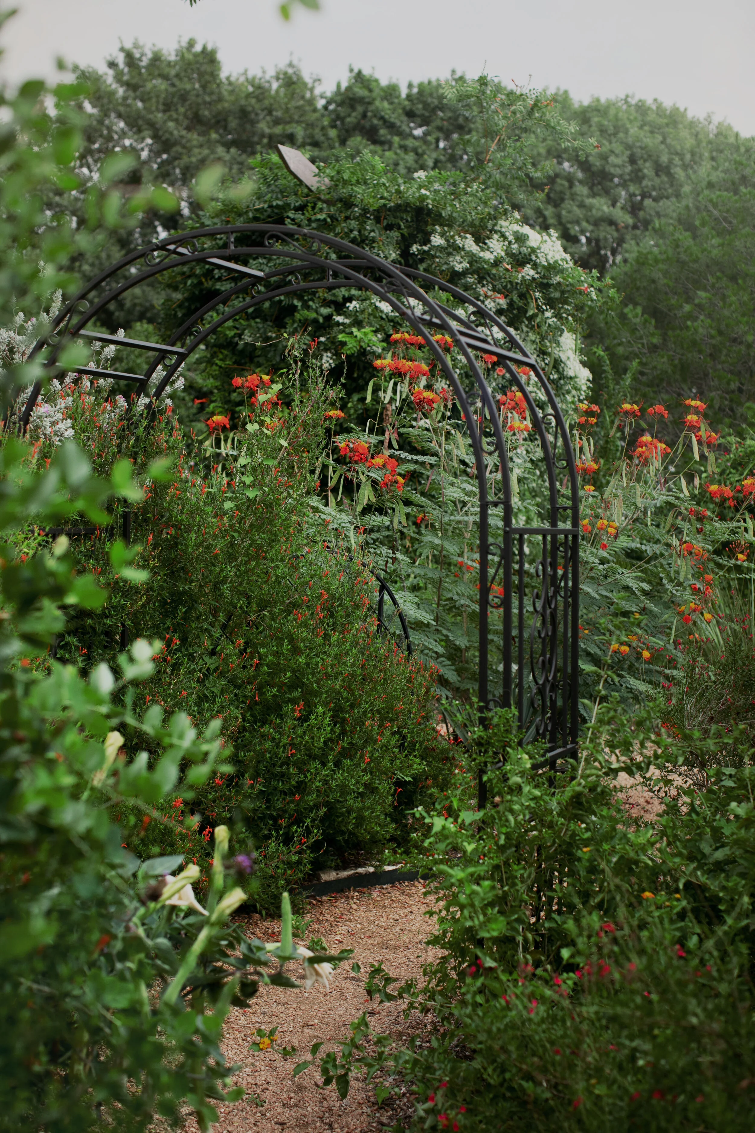Gardens Texas Discovery Gardens