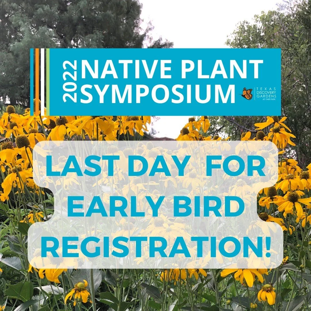 Today is the LAST day for early bird registration to the 2022 Native Plant Symposium! After today, in-person registration will increase to $45 and virtual registration will increase to $40! Register NOW! https://txdg.org/native-plant-symposium-2022