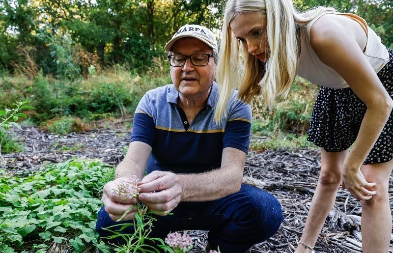 🦋🌱Did you know that Blackland Prairie restoration is critical for the multi-generational migration of the iconic but increasingly endangered monarch?
 
Read in the @dallasnews about how Texas Discovery Gardens is helping transform a three-acre stre