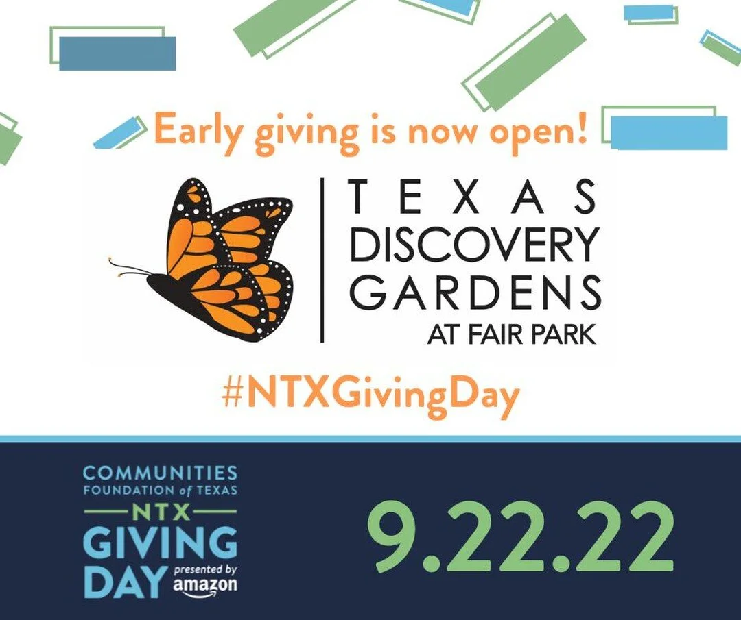 North Texas Giving Day is September 22, but you can start donating to Texas Discovery Gardens TODAY!

Nonprofits like us rely on #NTXGivingDay to support vital programs and services that help Texas Discovery Gardens continue to be a place where child