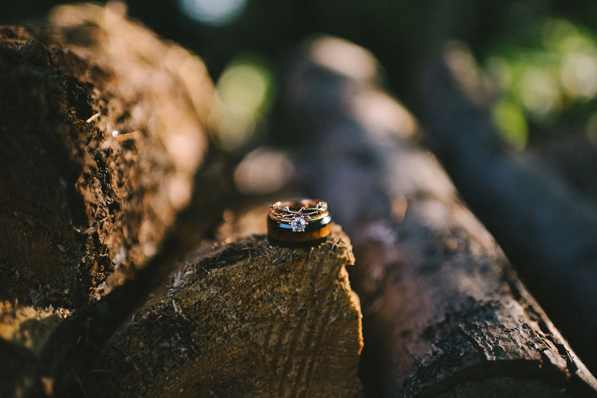 Delicate rings on chopped wood at camp wedding in Parry Sound
