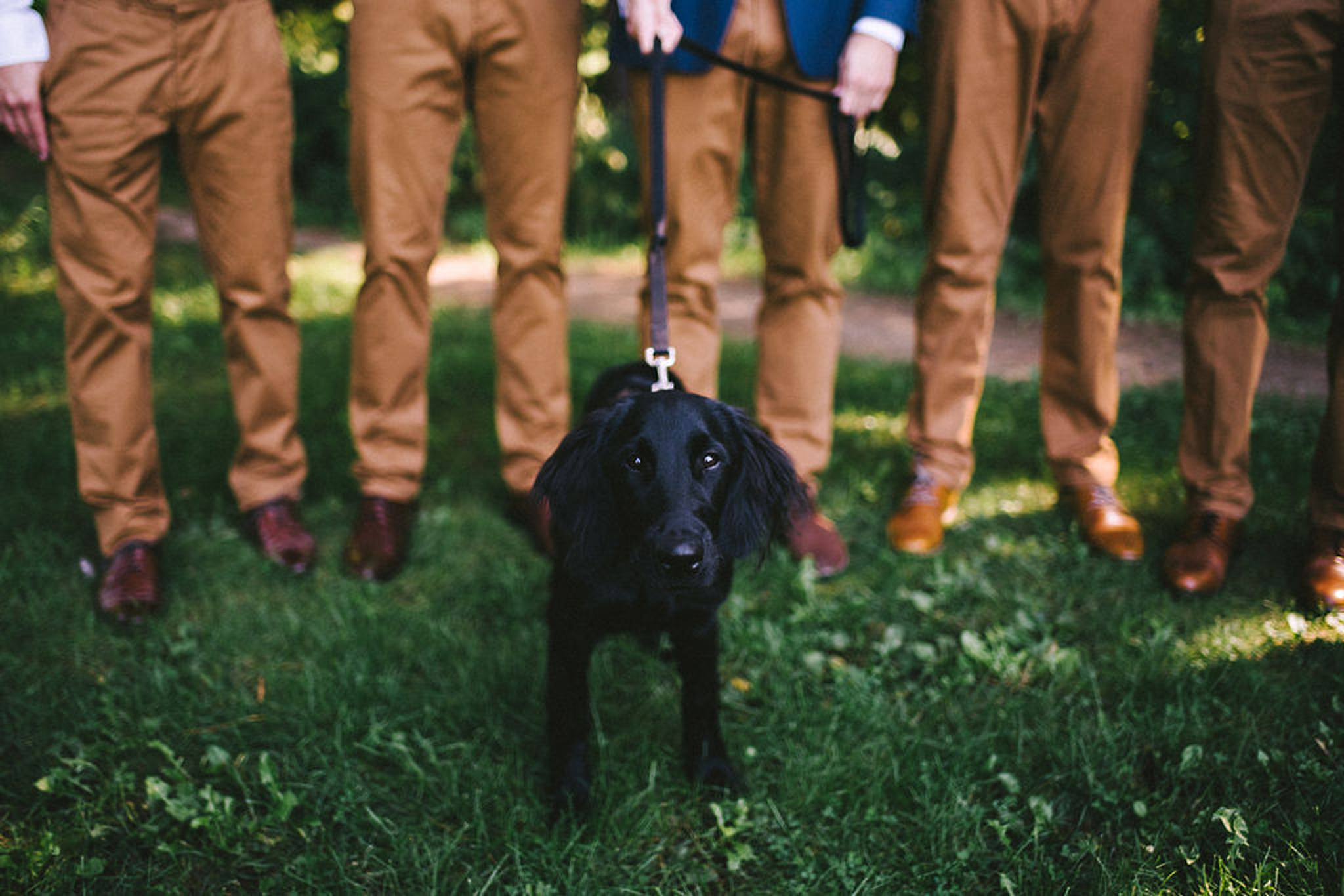 puppy with groomsmen at Parry Sound camp wedding