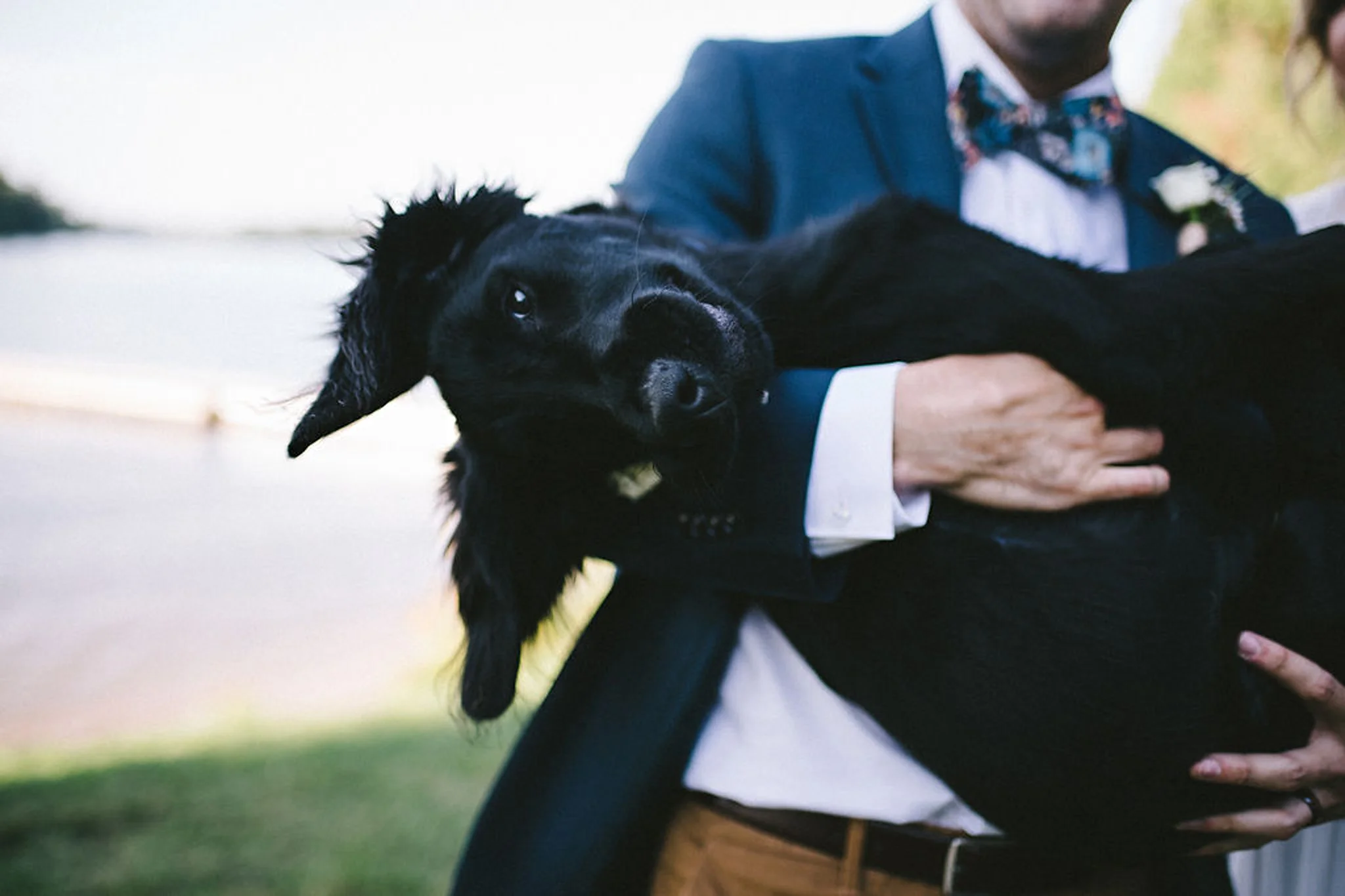 cute puppy at Parry Sound camp wedding