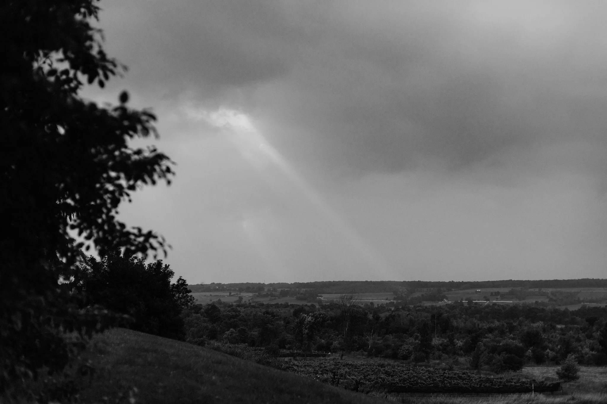 Sun peeks out from behind the clouds and spotlights the vineyard