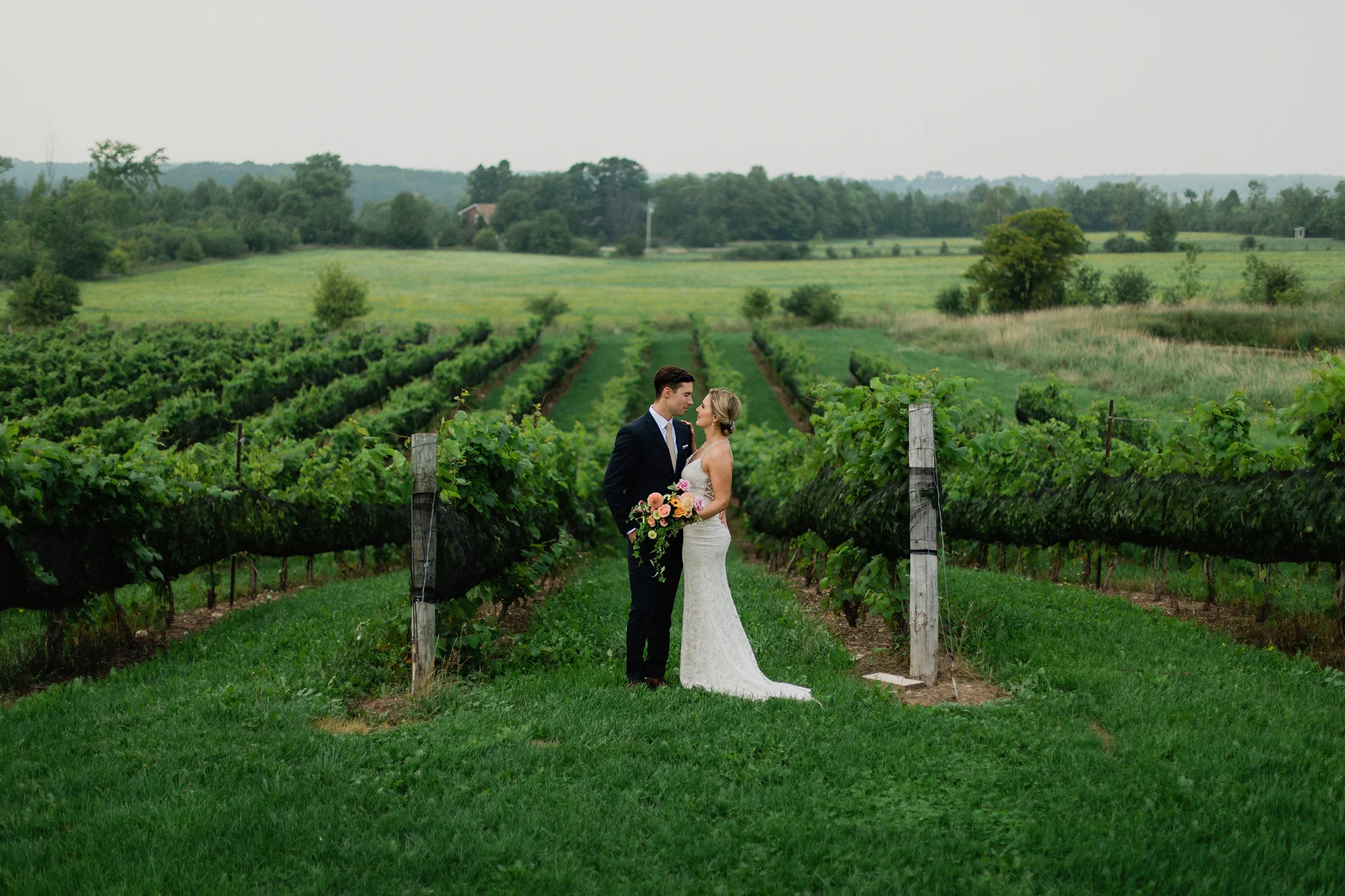 Bride and groom portraits in the vineyards at Coffin Ridge Bouti