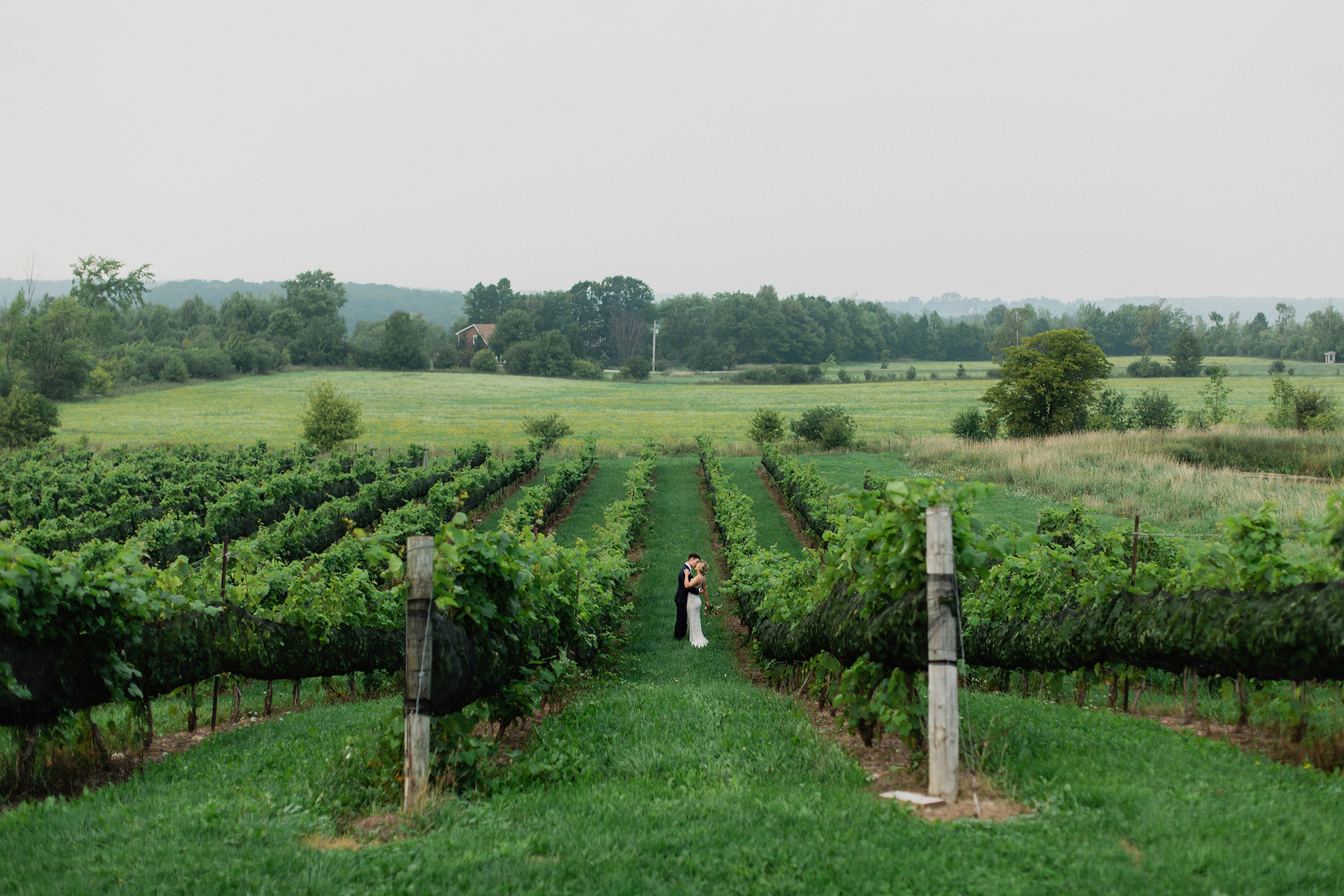 Bride and groom portraits in the vineyards at Coffin Ridge Bouti