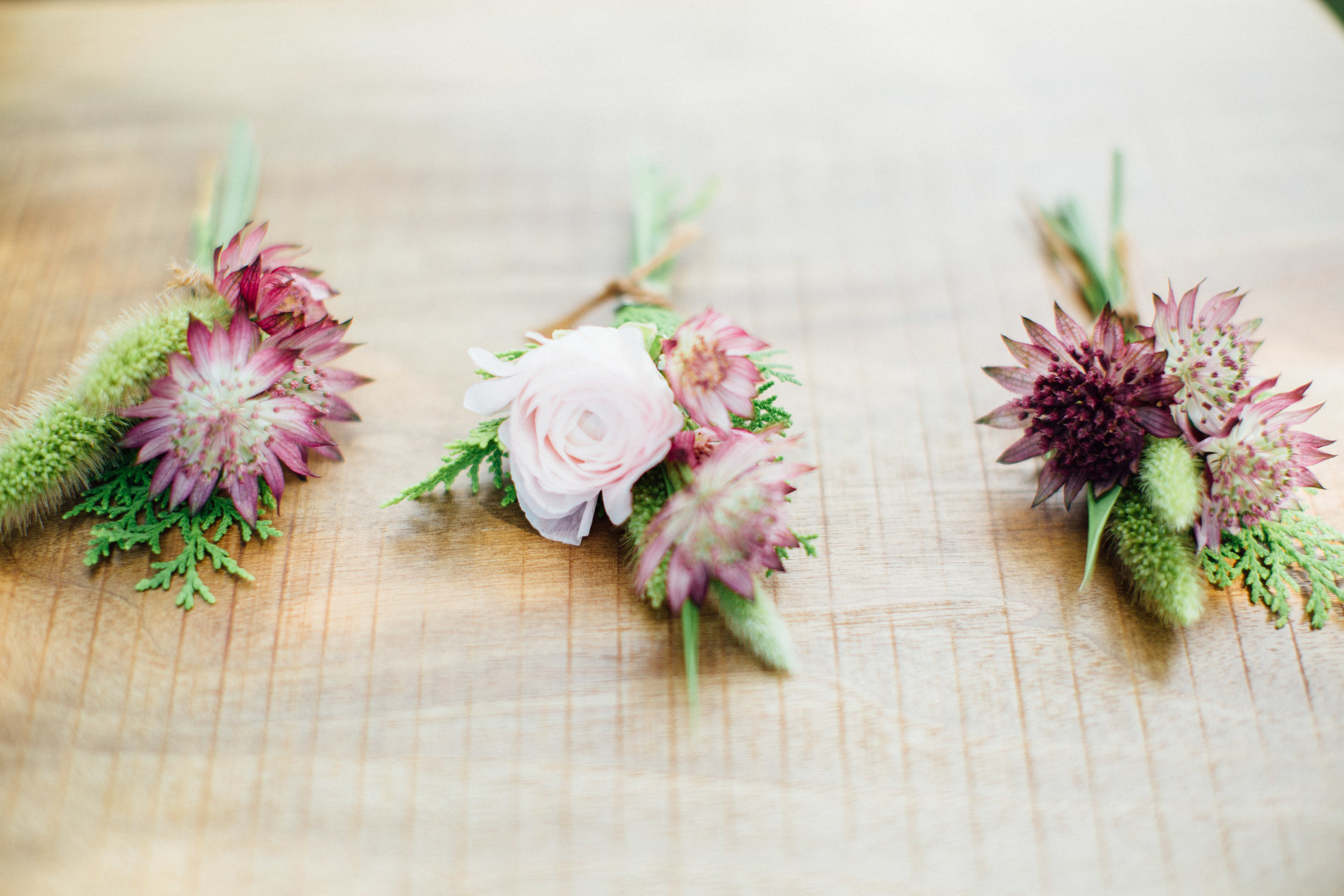 setaria grasses with soft pink astrantia and ranunculus 