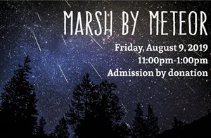 Marsh-by-Meteor.jpg