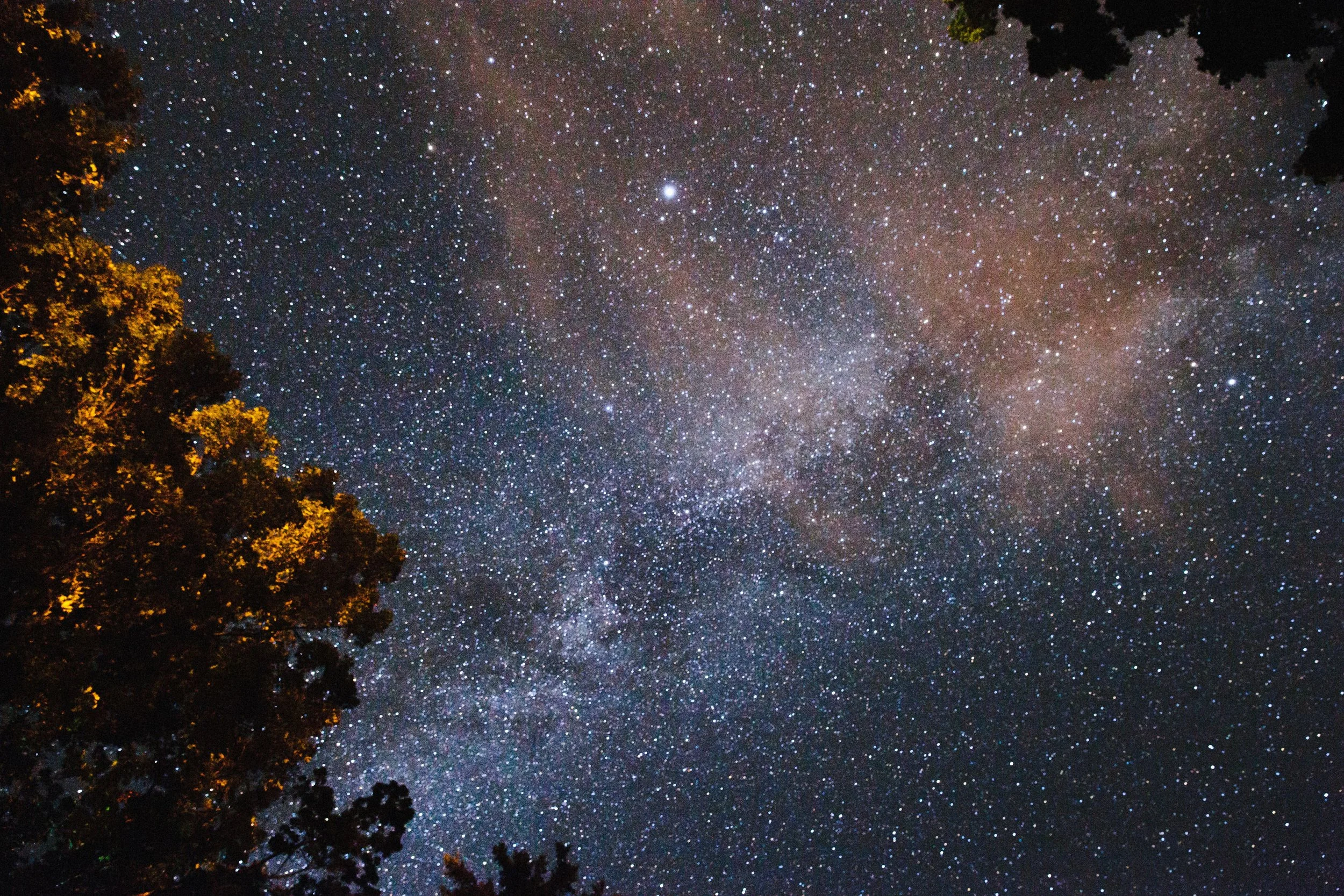 Five Fresh Events in Georgian Bay this September