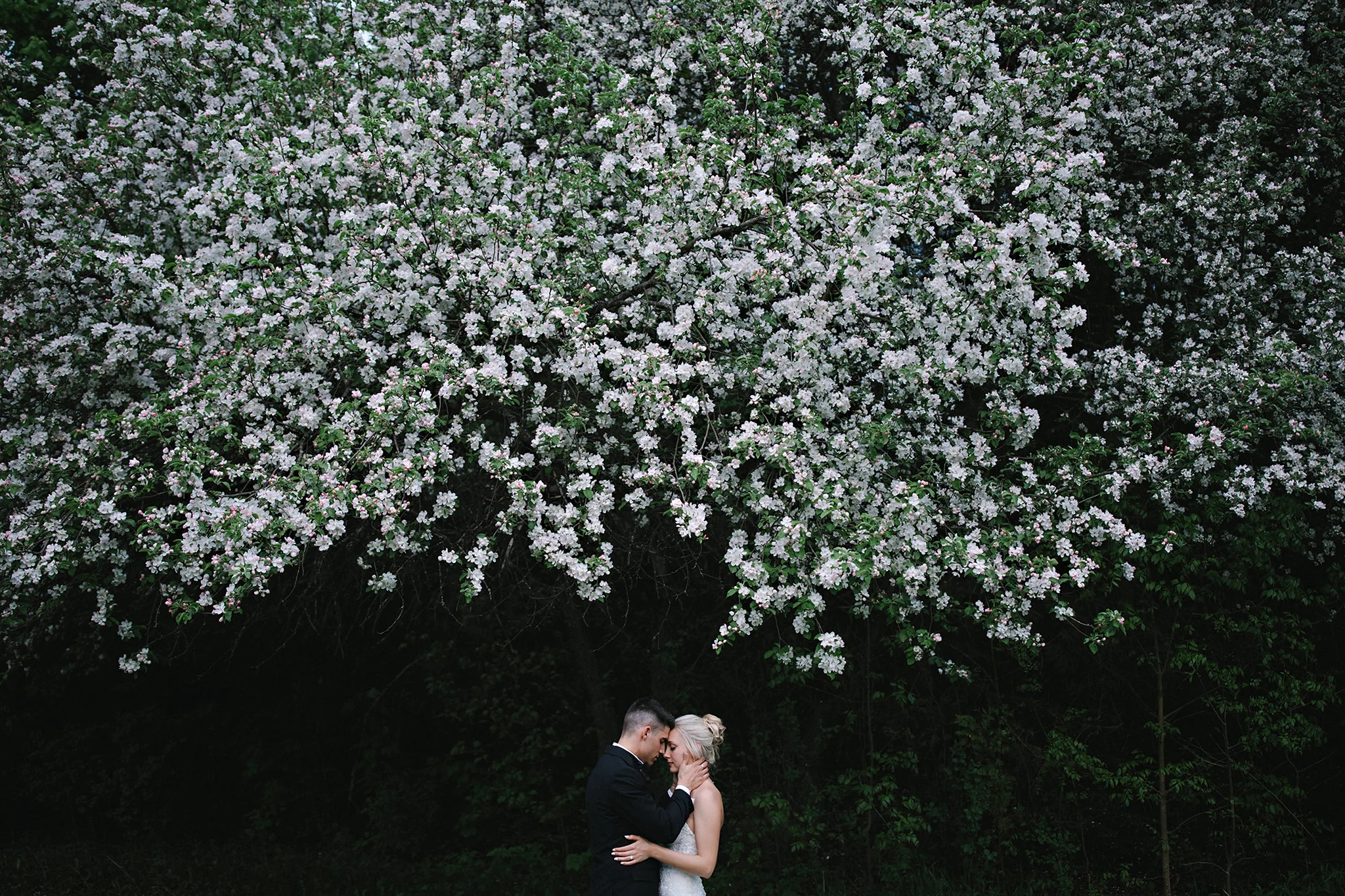 Photography: Frances Beatty Photography