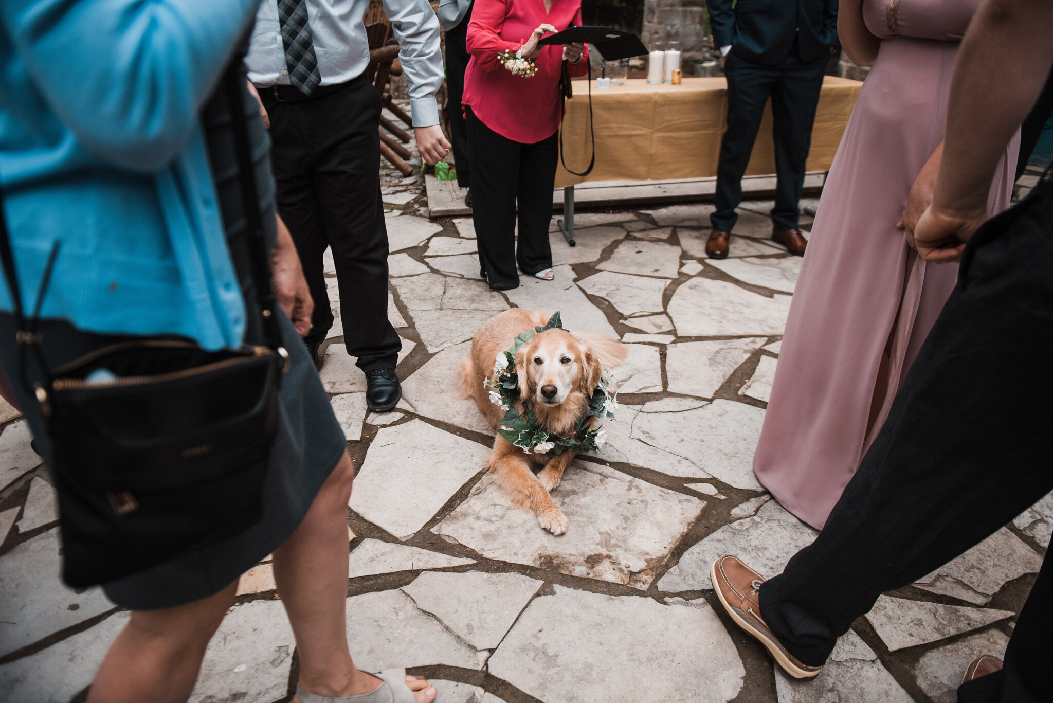 Georgian Bay lakeside romantic wedding at Serenity Cottage