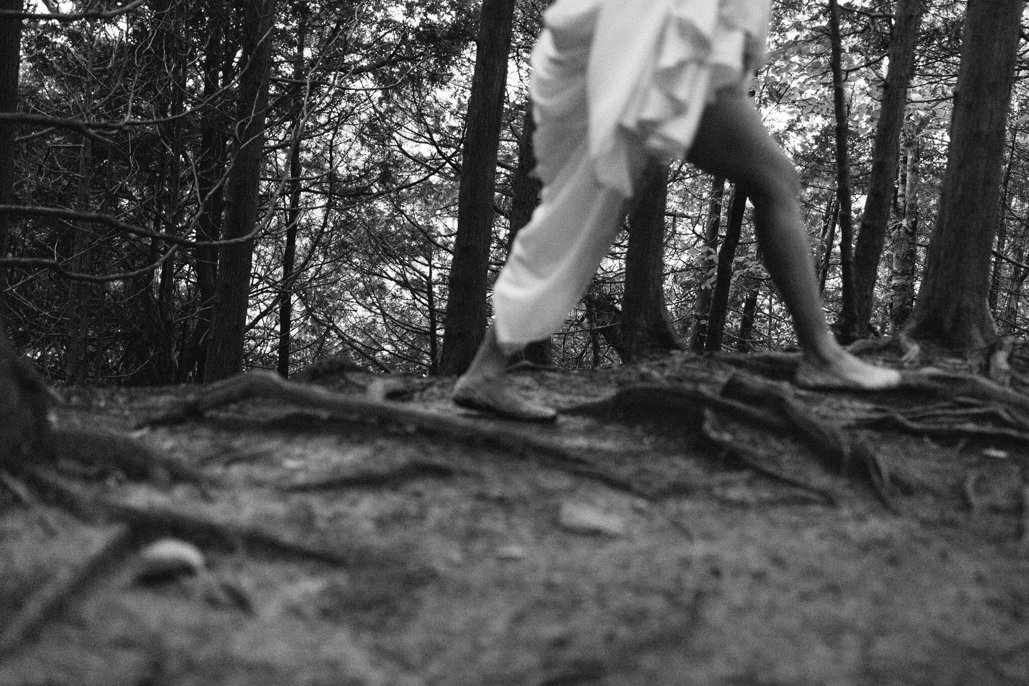 South Georgian Bay Elopement in Foggy Grey Highlands