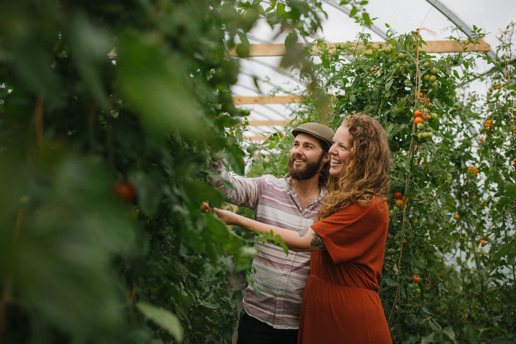 Couple picking tomatoes at Harvest Moon Farm in Meaford during E