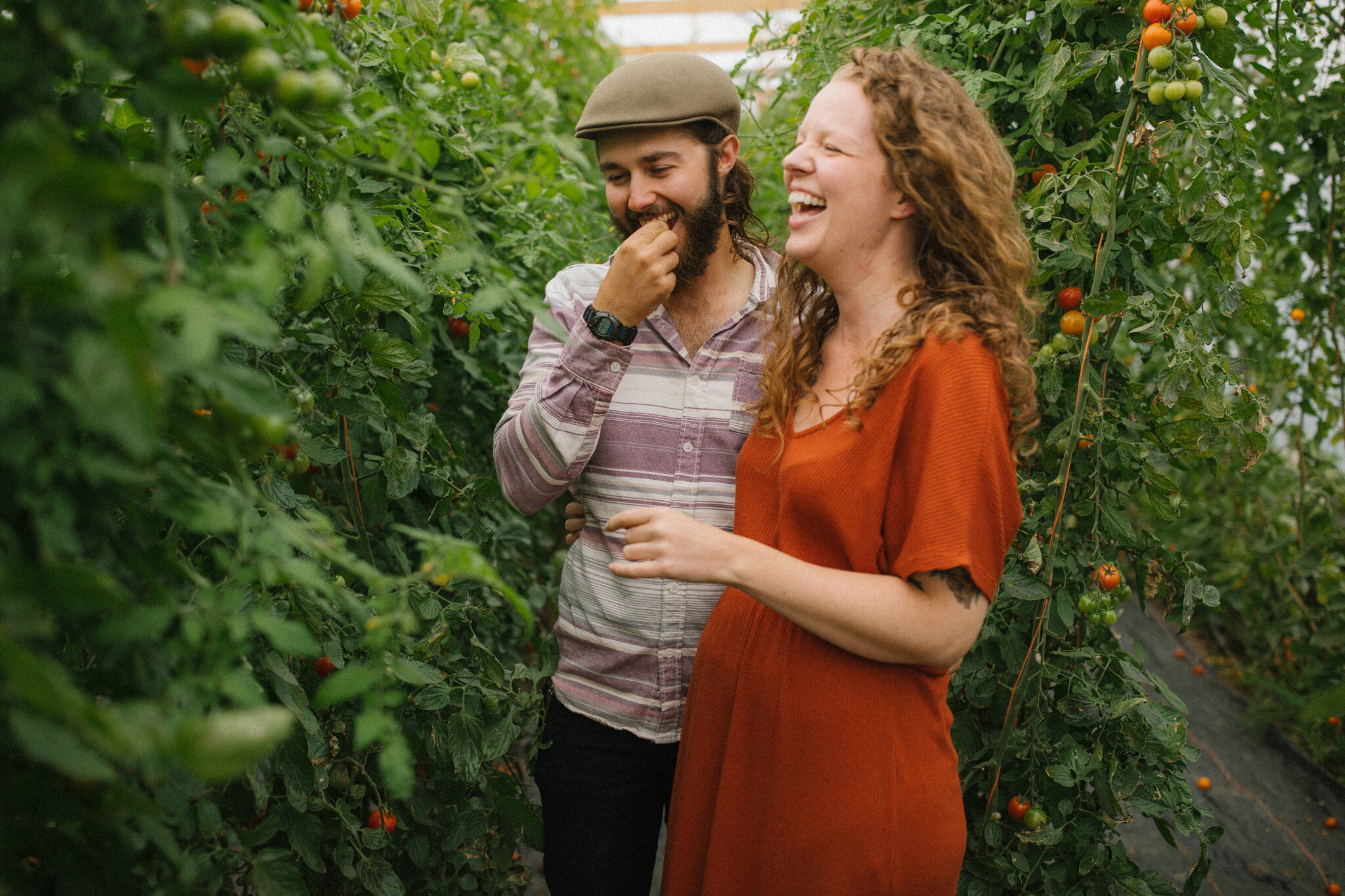 Couple picking tomatoes at Harvest Moon Farm in Meaford during E