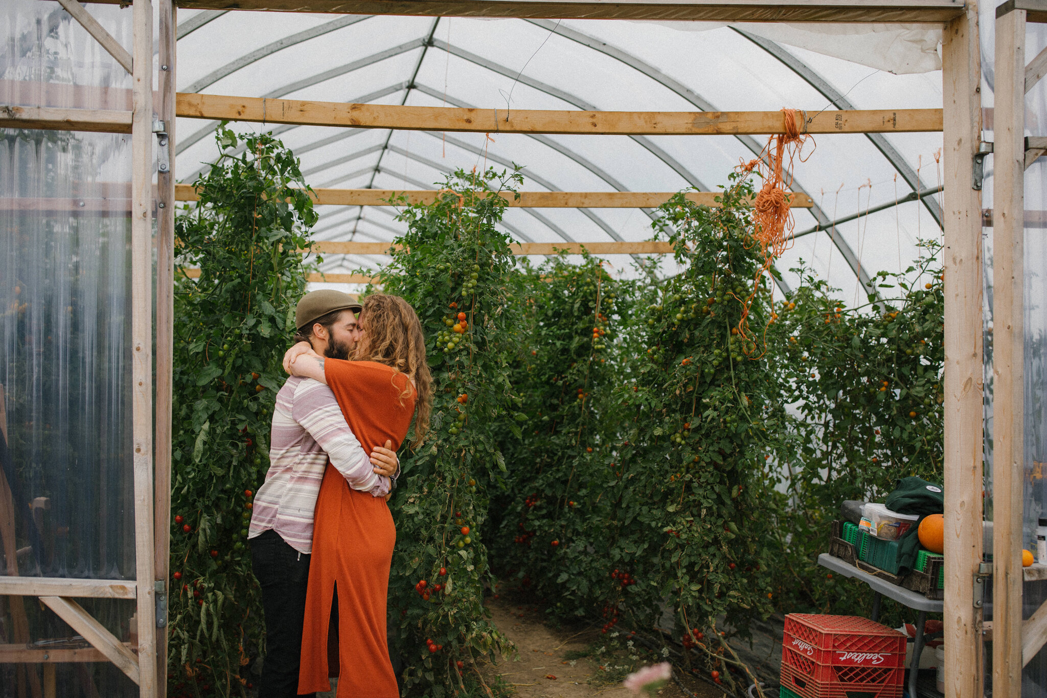 Surprise proposal in the greenhouse at Harvest Moon Farm in Meaf