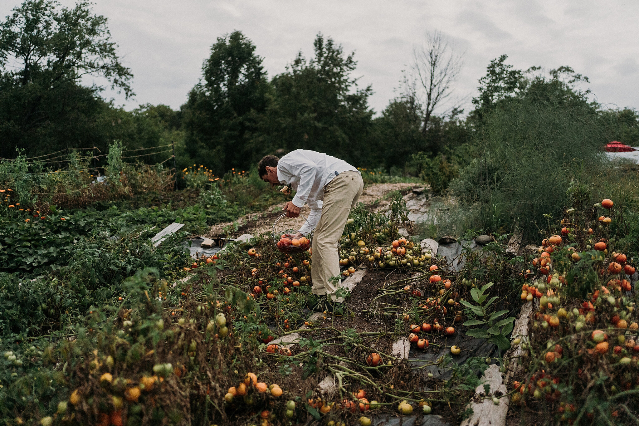 Manitoulin Island garden