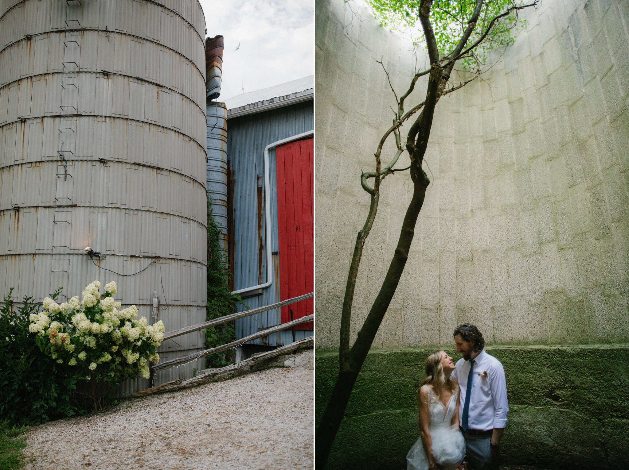 tree growing out of silo quirky wedding photos