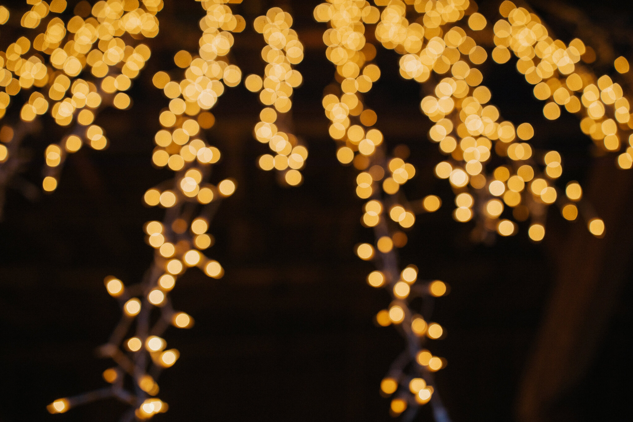 twinkle lights wedding abstract