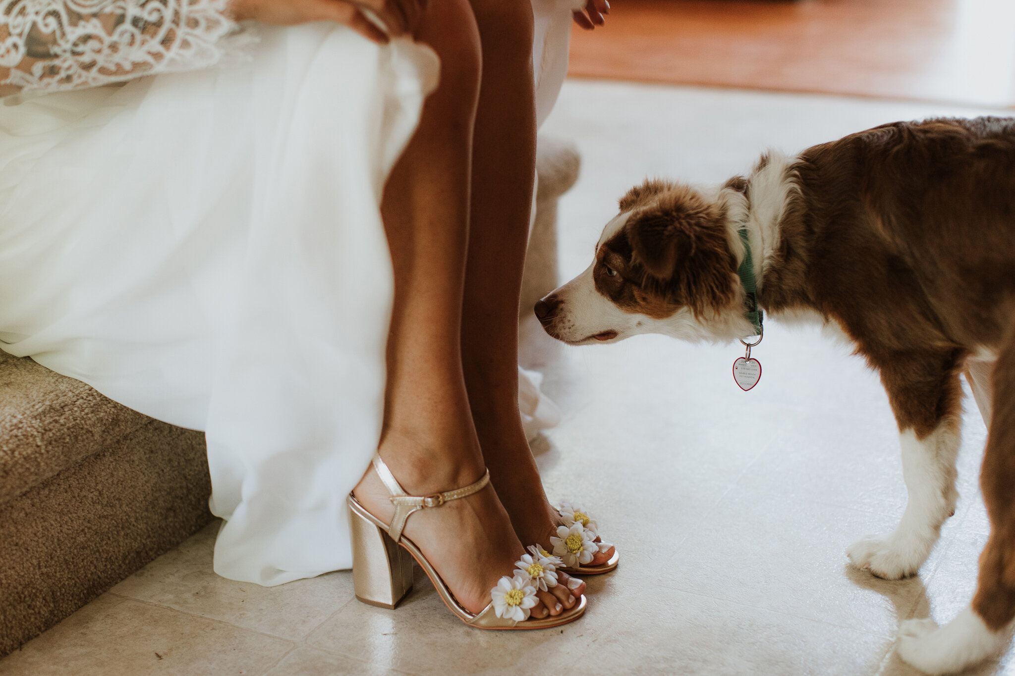 boho bride flower shoes with puppy