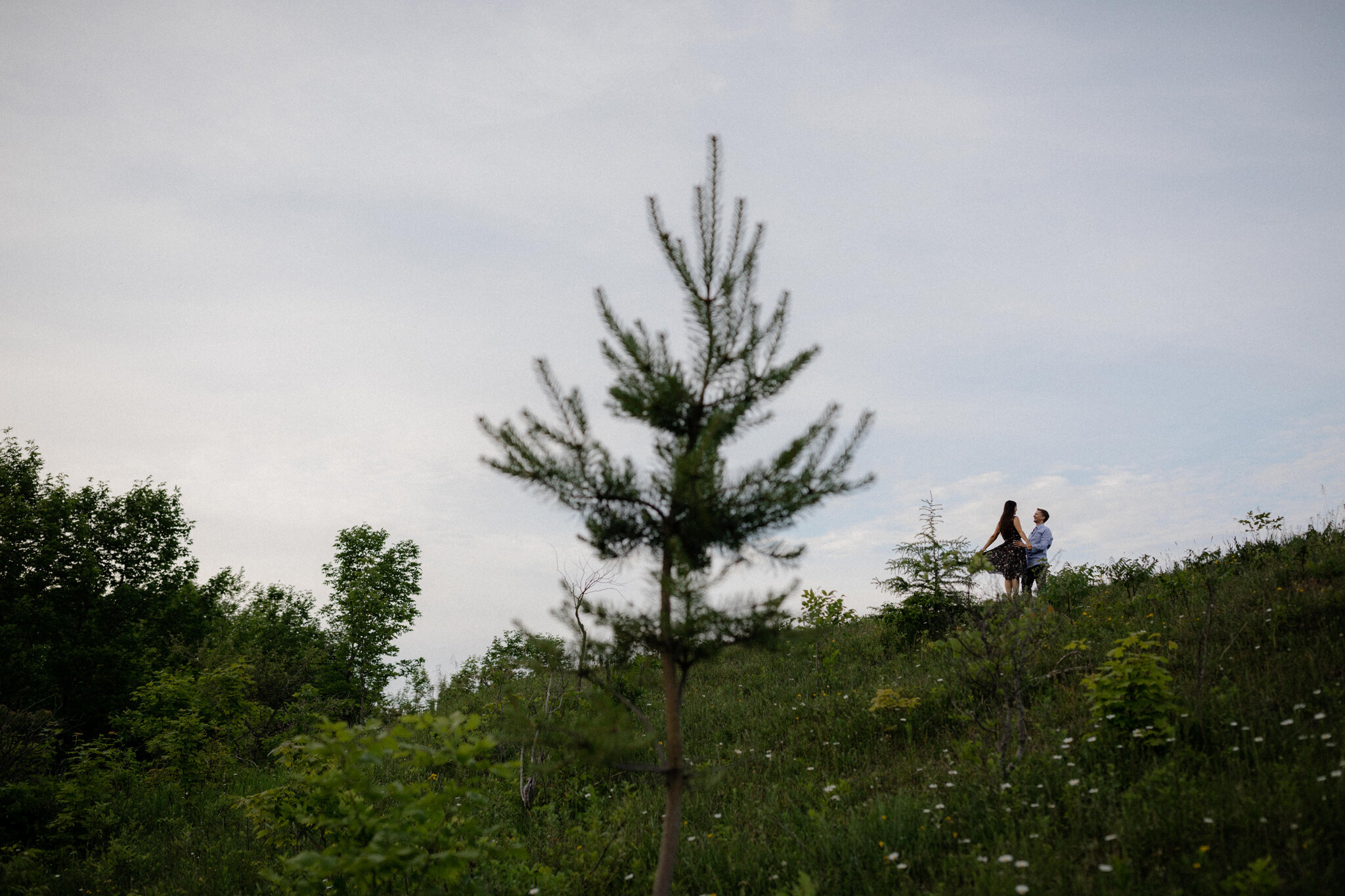 Couples session with evergreen trees on bruce trail