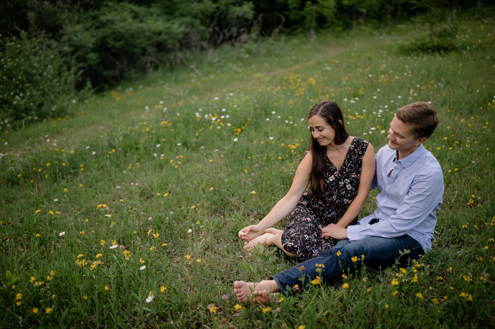 Summer engagement in the wildflower field of Beaver Valley