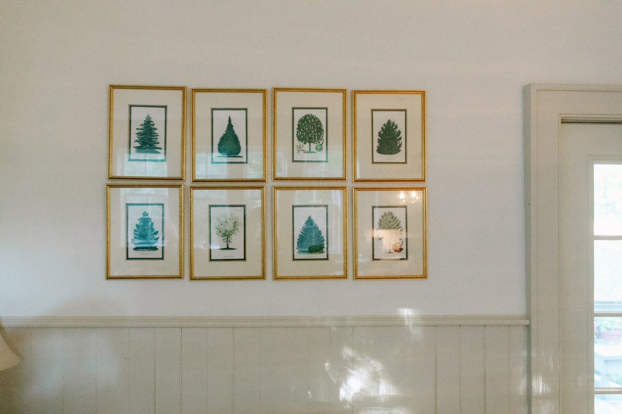 Tree prints on the wall at Ladybank Farm