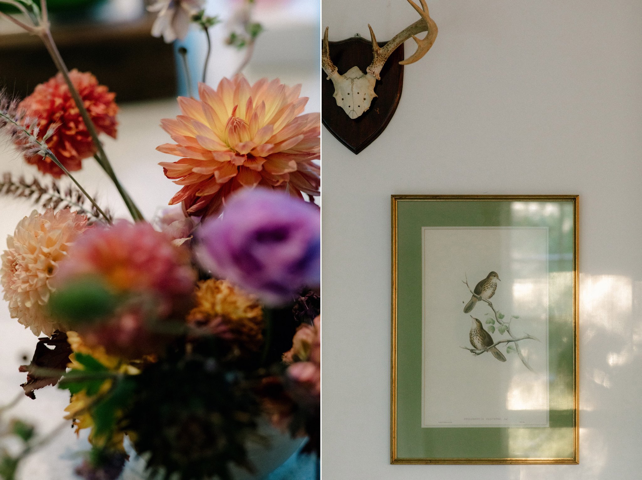 Flowers by Euclid Design Co. and bird prints