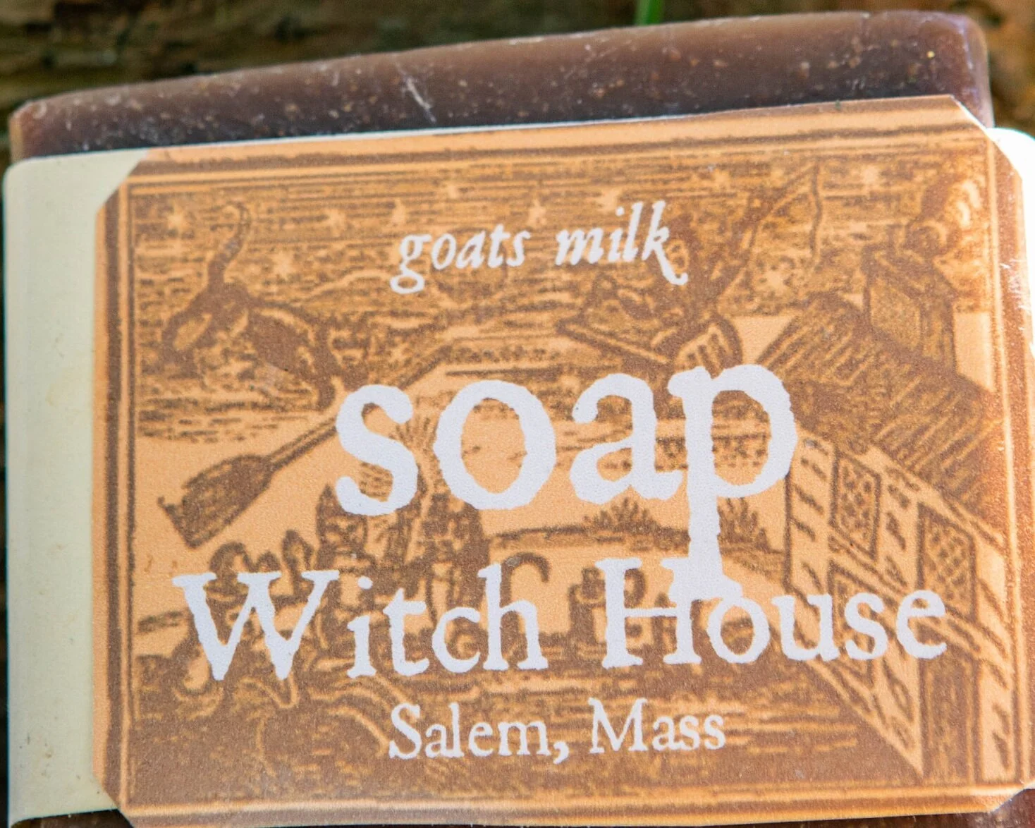 Witch+House+Print+Sara+Richart+Art+Salem+ma+-4131.jpg