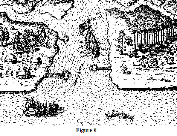 Fishing Weir Demonstration