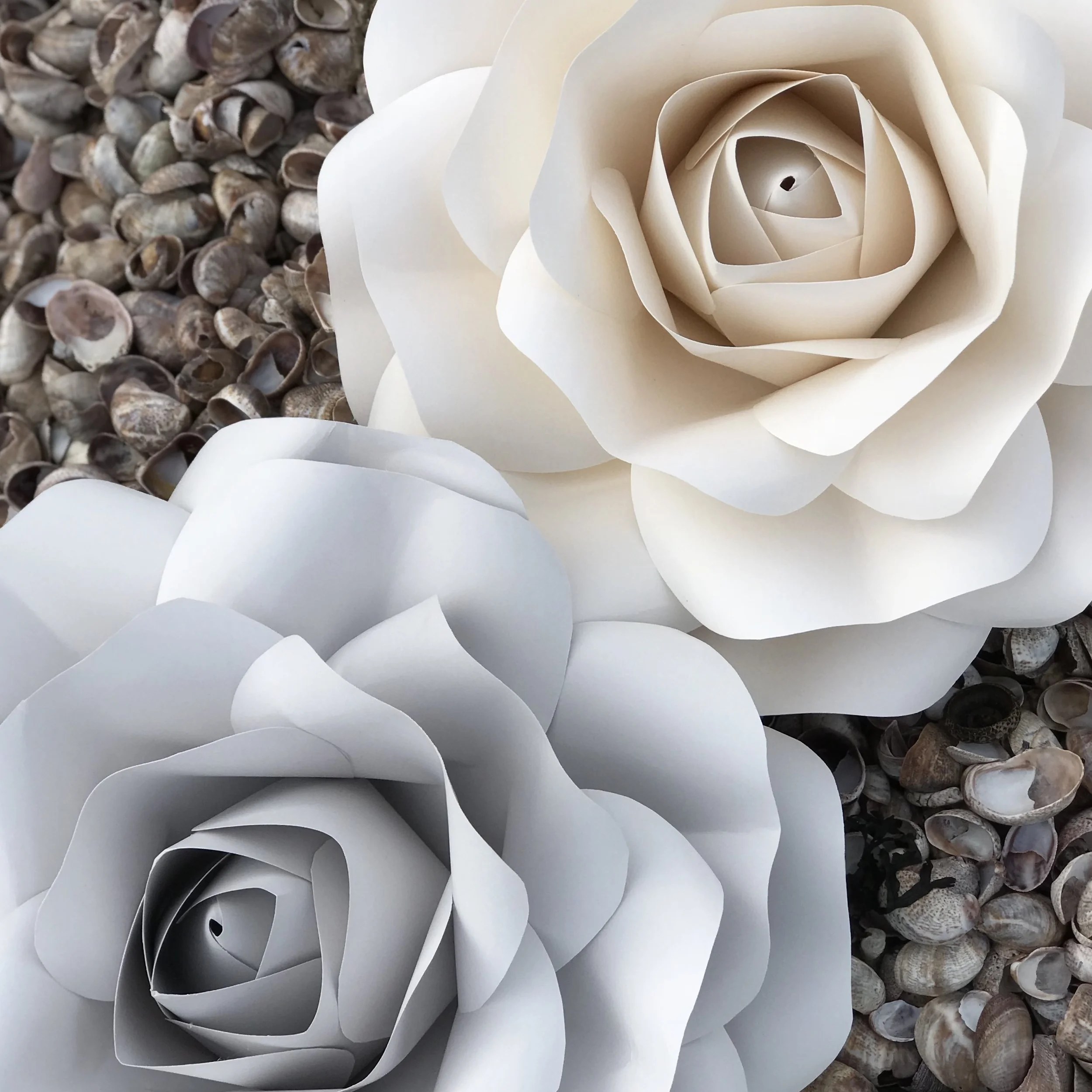 CREAM & GRAY