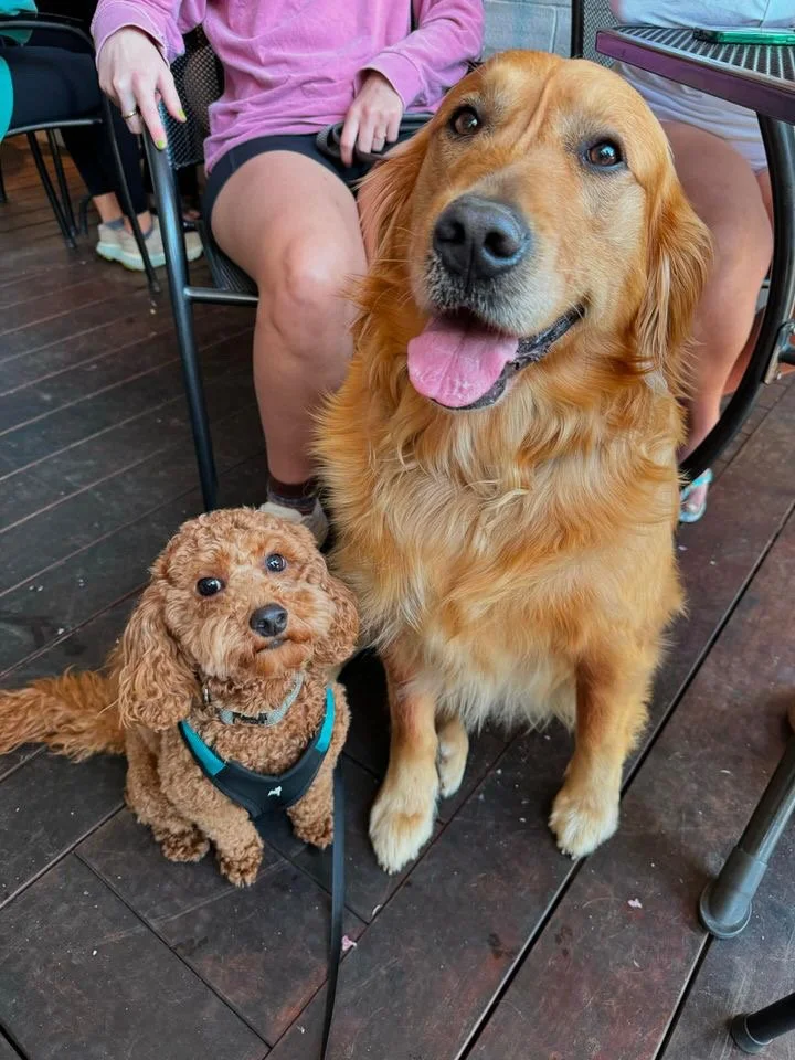 Wesley and Frank (1:2).JPG