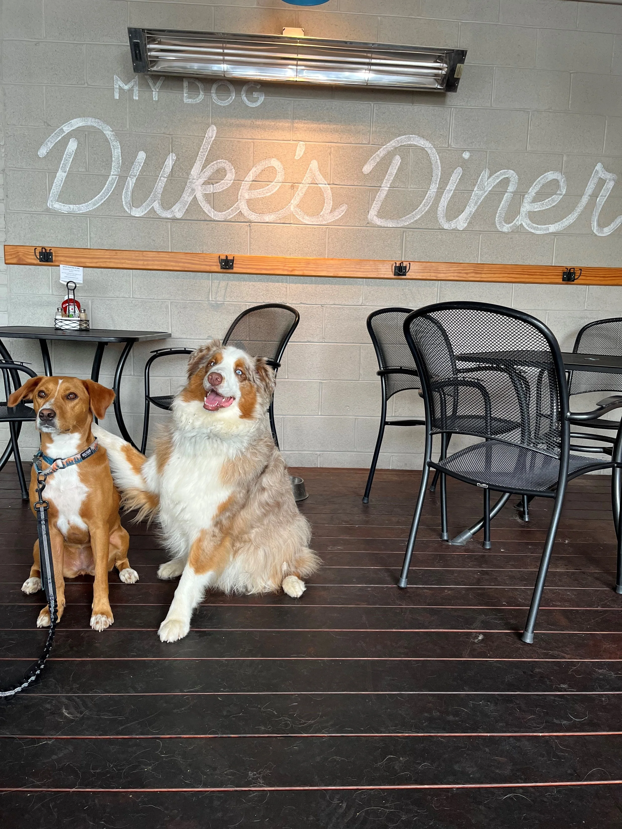 Copper and Maple.jpg