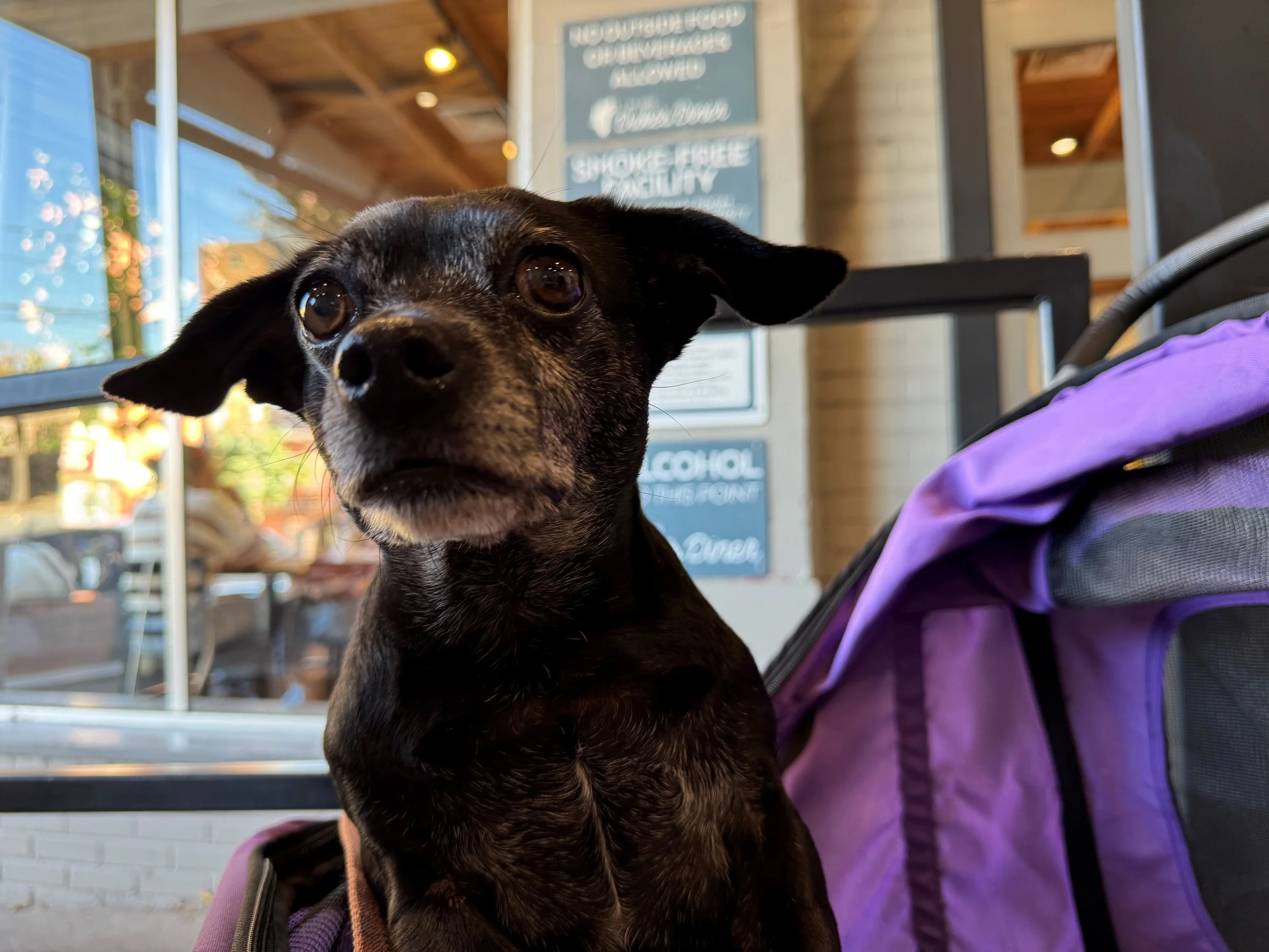 Luna.jpg