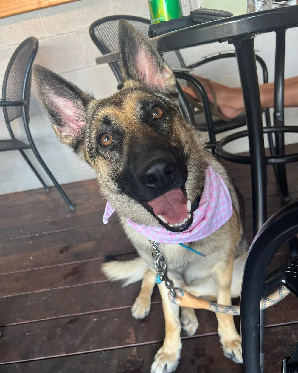 @rufflifeofrylee+(2).webp
