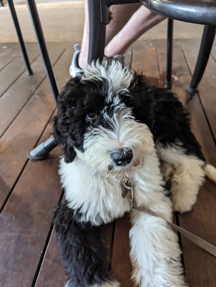 Winnie.webp