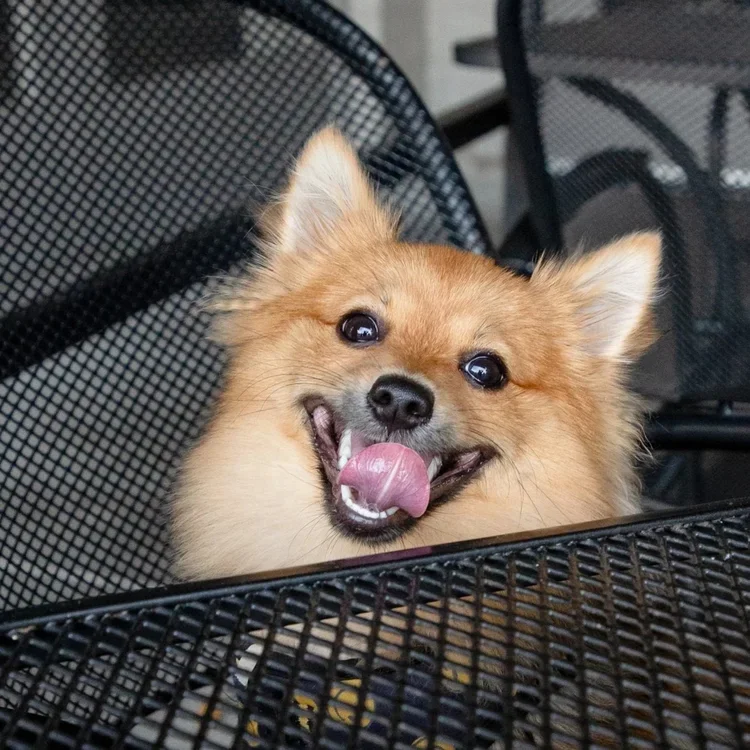 IMG_5186.webp