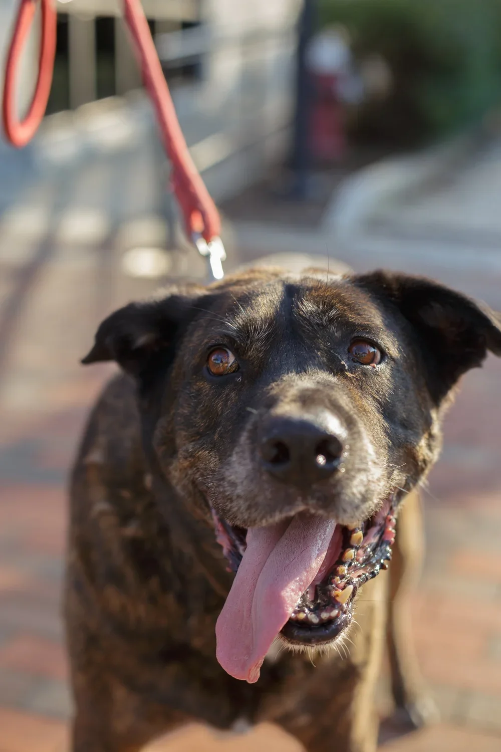 IMG_0972(2).webp
