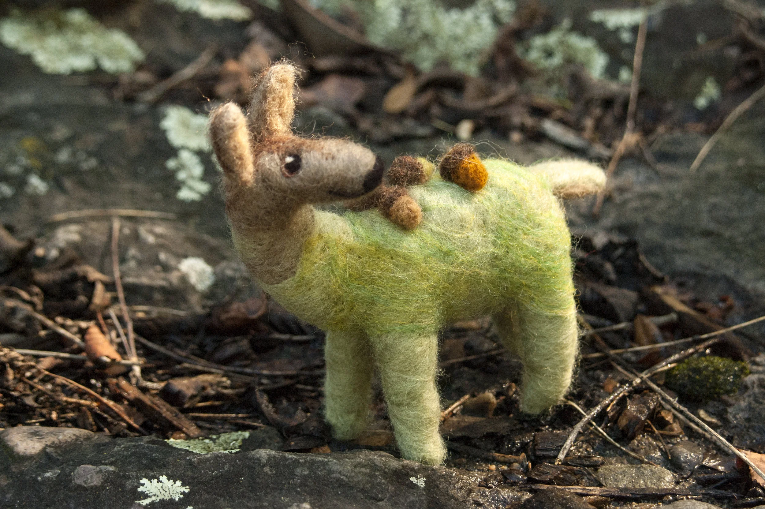 Acorns Fall