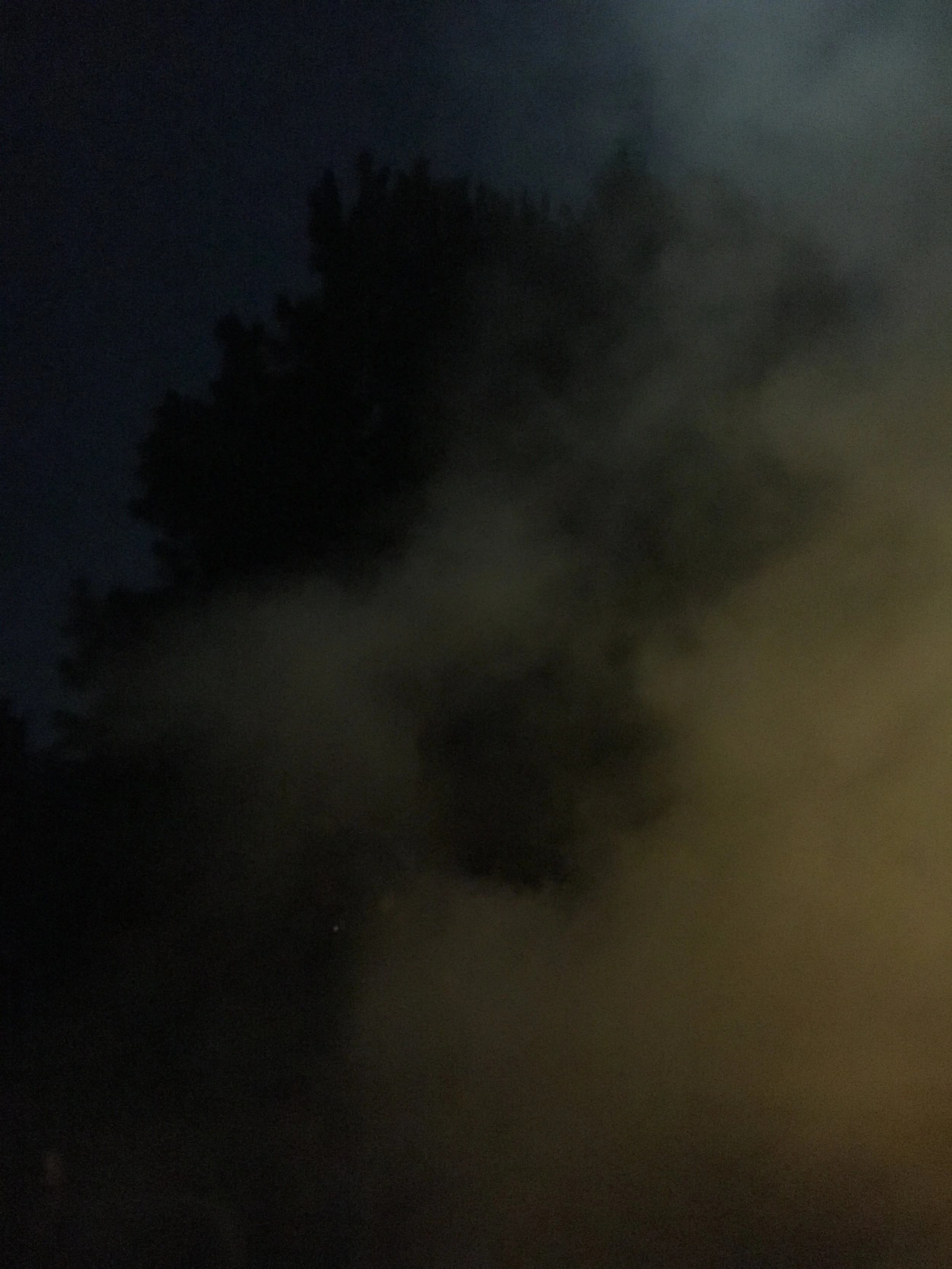 Fearful Symmetry (LM)