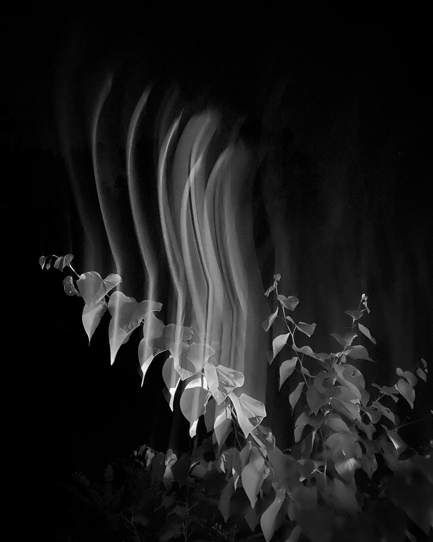 Ghost Light (LM)