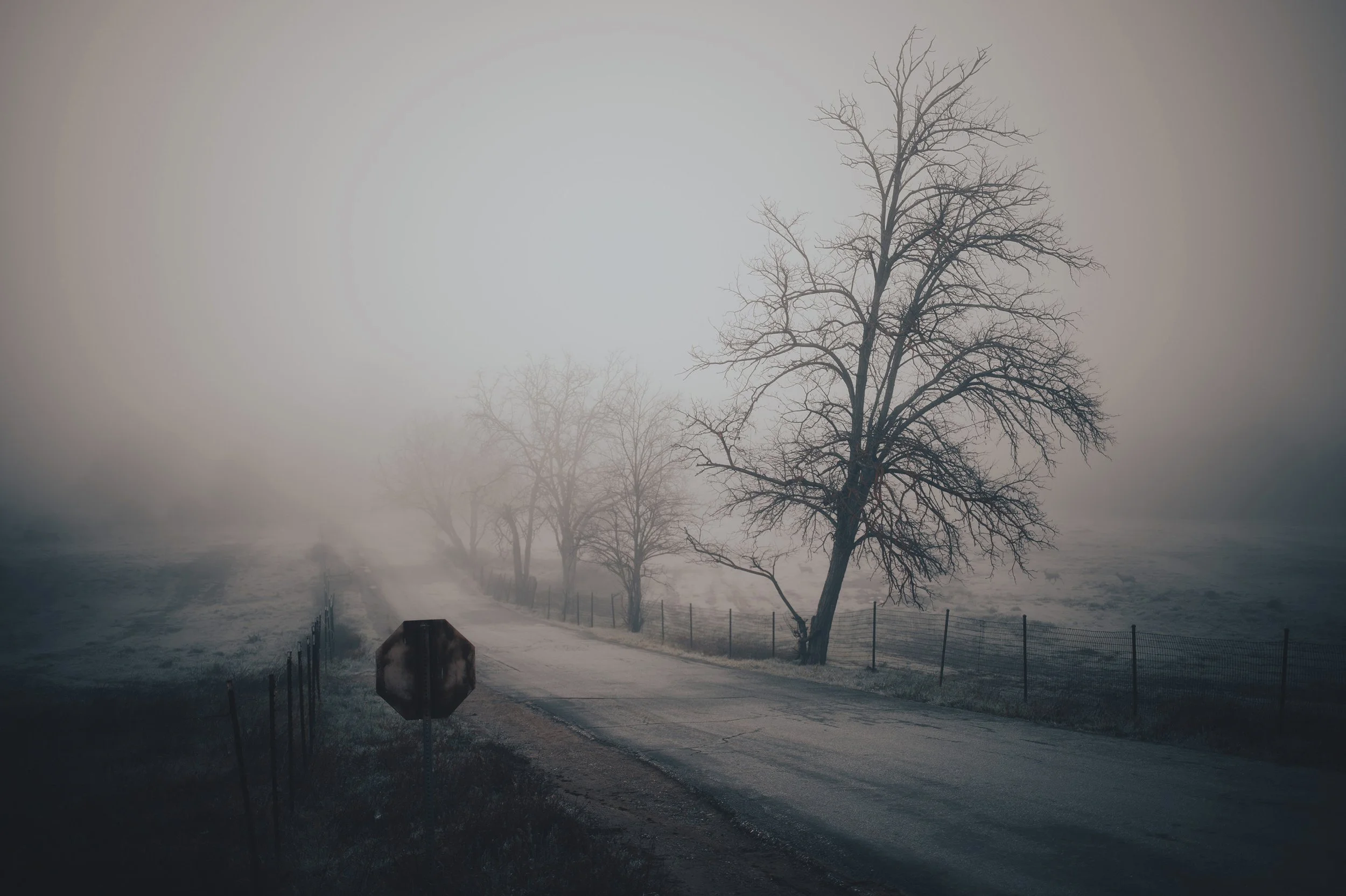 Stephen Berger