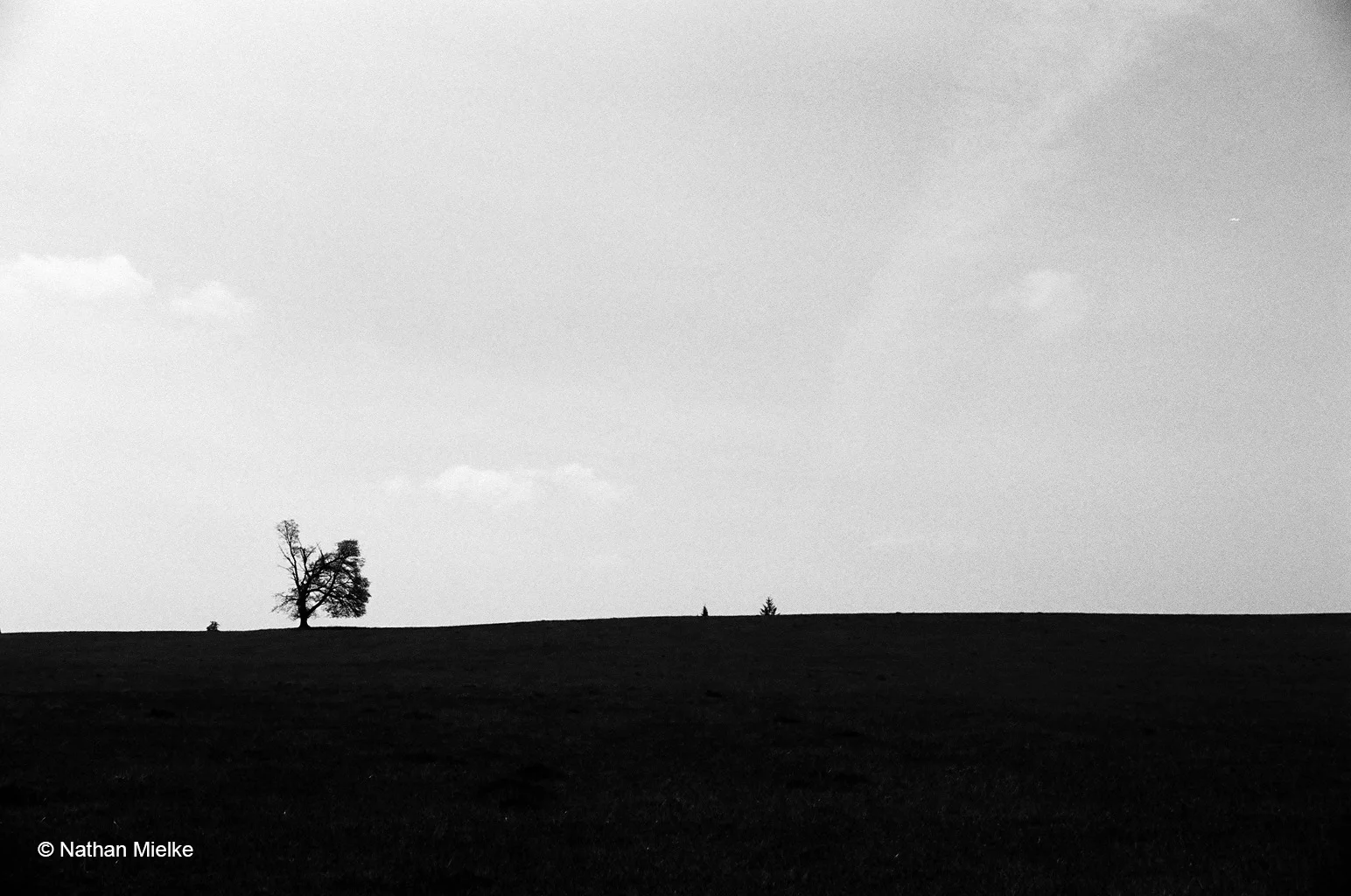 Alone